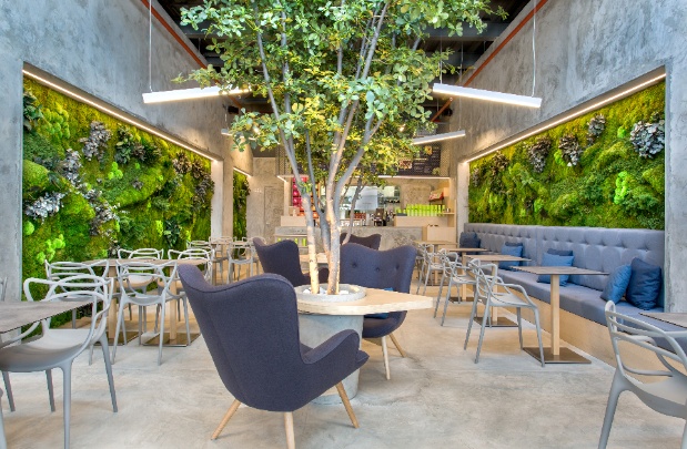 Greenarea Photo 6