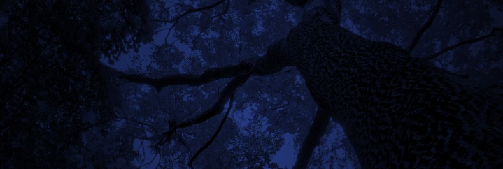 XAL Photo 1