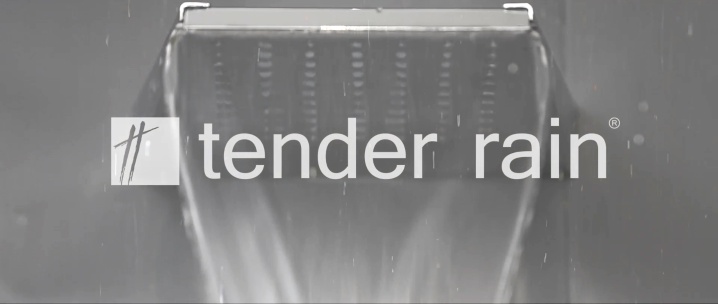 TENDER RAIN Photo 1