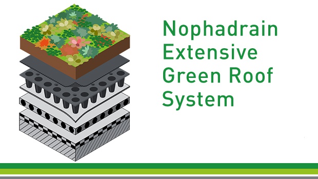 Nophadrain Photo 2