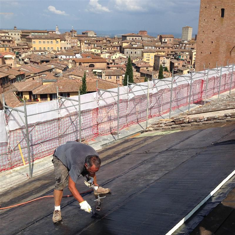 防护防水膜 / 用于屋顶 / 用于地基 / 卷式