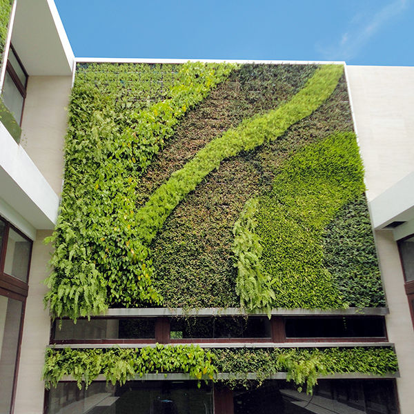 模块化板绿植墙 / 天然 / 户外 / 模块结构