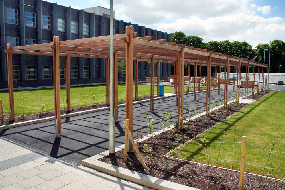 自承重凉棚架 / 木质 / 电镀钢 / 公共空间