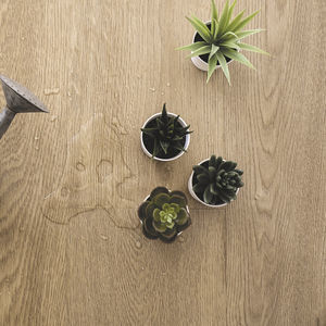 乙烯基地面 1