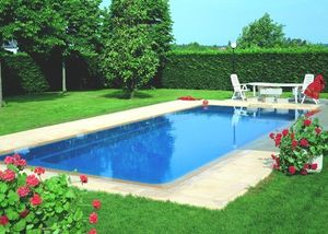 整体游泳池 1