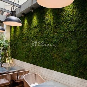 稳定绿植墙
