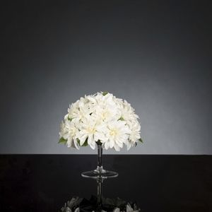 玻璃花盆