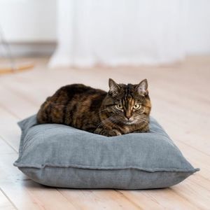 猫狗宠物垫子