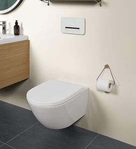 壁挂式马桶 1
