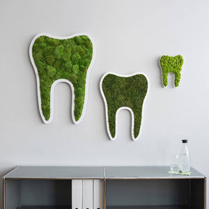 苔藓植物画框