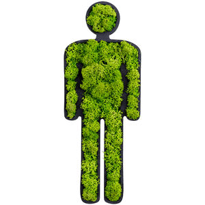 苔藓植物画框