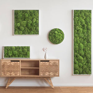 苔藓植物画框