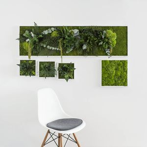 苔藓植物画框