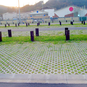 混凝土草坪砖