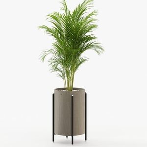 栎木花盆