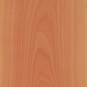 木质贴面 1