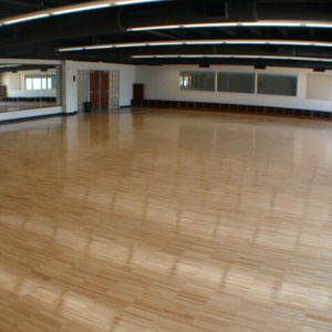 室内运动地板