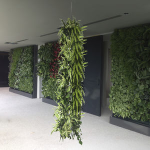 稳定绿植墙