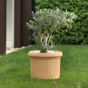 塑料花坛