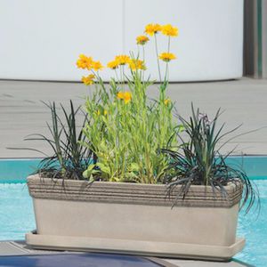 赤陶花坛