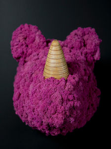 稳定植物画框 1