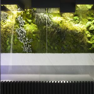 稳定绿植墙