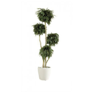 稳定園藝植物 1