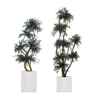 稳定園藝植物 1