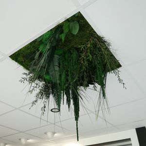 带绿化植物吊顶 1