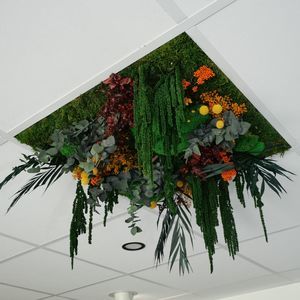 带绿化植物吊顶 1