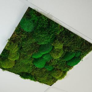 带绿化植物吊顶 1
