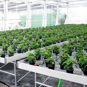 金属温室种植架