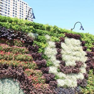 活植物绿植墙