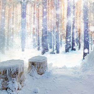 桑拿雪屋