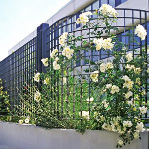 金属网格围栏