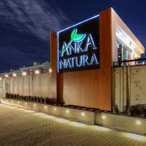 地面嵌入式灯具 / 墙面嵌入式 / LED 式 / 圆形