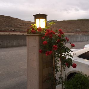 花园灯柱
