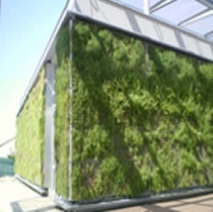 户外绿植墙