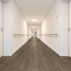 栎木强化地板 1