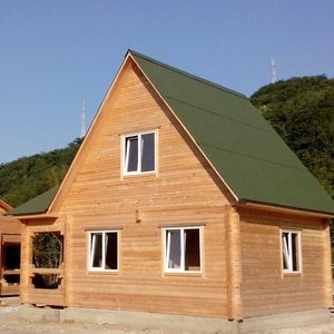 沥青屋顶盖板 1