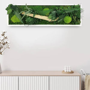 稳定植物画框