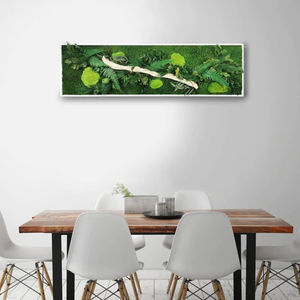 稳定植物画框