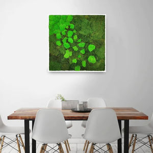 稳定植物画框