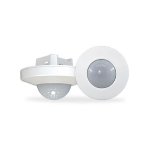 存在探测器 1