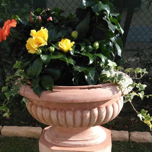 赤陶花坛