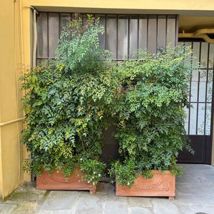 赤陶花坛
