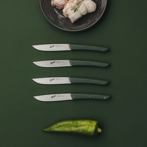 塑料柄牛排刀