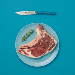 塑料柄牛排刀