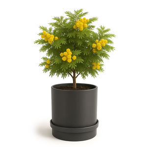 金属花坛