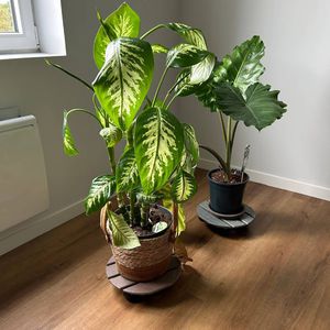 放置式花盆支架